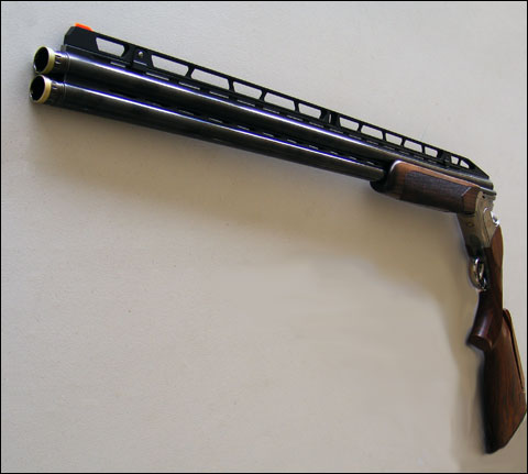 Exclusive: Forthcoming Zoli VCS Combines High-Rib Sporter With Traditional  Shotgun